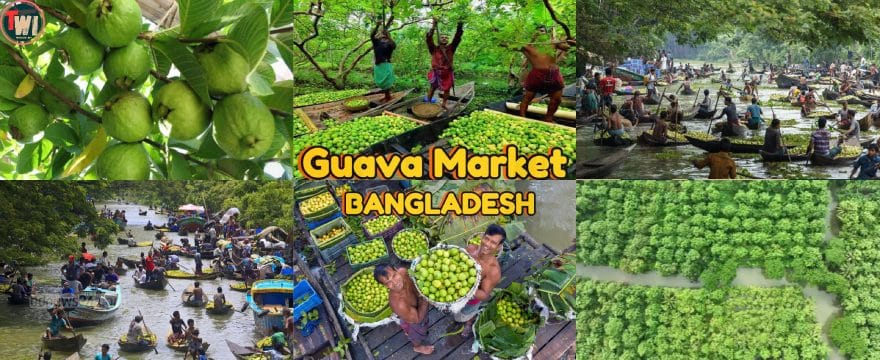 guava floating market in bangladesh